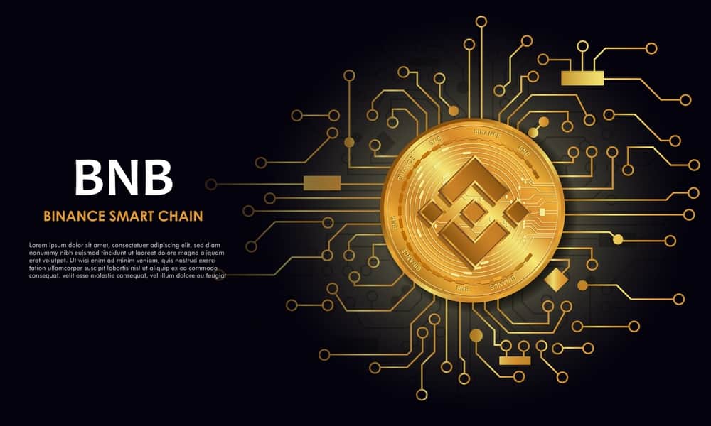 BNB Rockets Past $1,300 as On-Chain Activity Hits New Highs