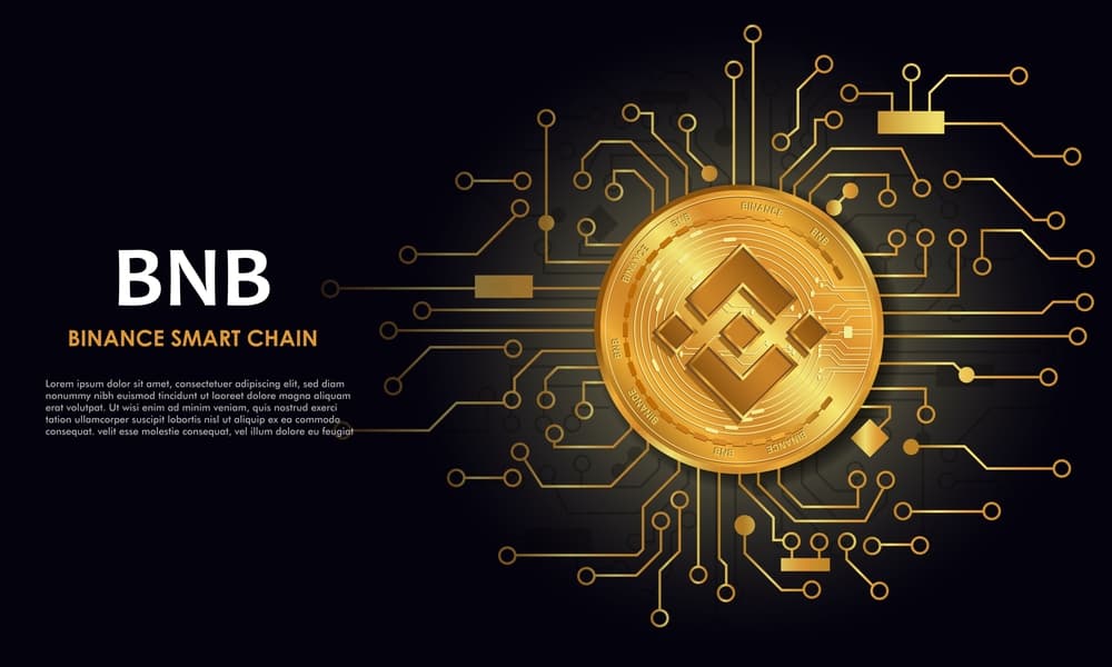 BNB Rockets Past $1,300 as On-Chain Activity Hits New Highs