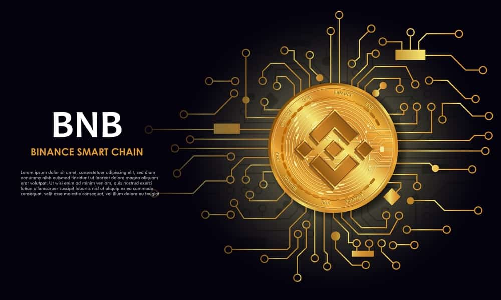 BNB Rockets Past $1,300 as On-Chain Activity Hits New Highs