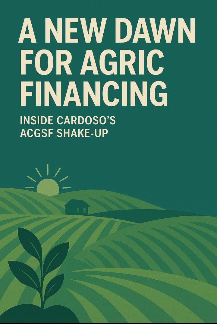 A New Dawn for Agric Financing: Inside Cardoso’s ACGSF Shake-Up